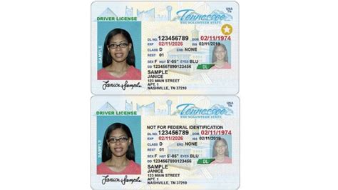 tn smart card requirements|REAL ID .